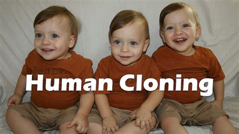 human clones in bags|cloning of humans barriers.